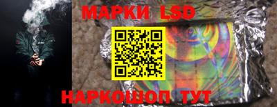 гидра Краснознаменск