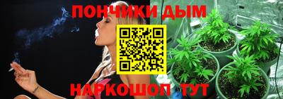 гидра Краснознаменск