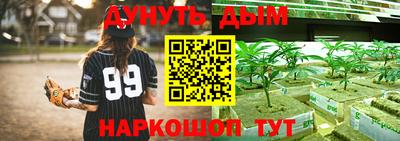 гидра Краснознаменск