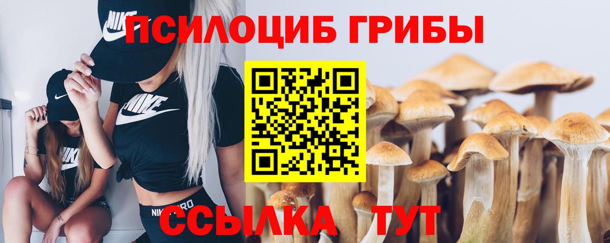 Котлас  Псилоцибиновые грибы Psilocybe  Галлюциногенные грибы мицелий  купить наркотик  Вход с VPN 